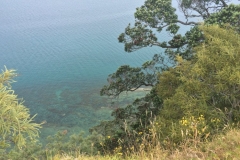 Sandrett Regional Park - Blick vom Kliff