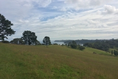 Sandrett Regional Park - Wiesen