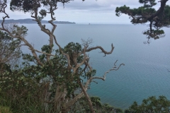 Sandrett Regional Park