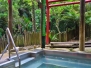 Morere Springs Reserve