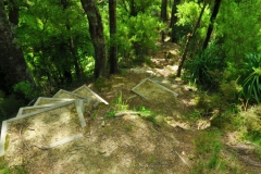 Mangakawa Track-Holzstufen