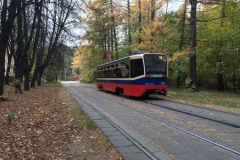 Strassenbahn im Park