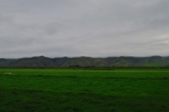 Highway83-3