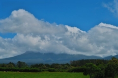 Mount Taranaki versteckt sich hinter den Wolken