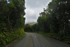 Nationalpark-Strasse-zum-Besucherzentrum