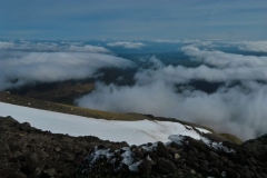 Ngarara Lizard - Blick auf das Snow Valley