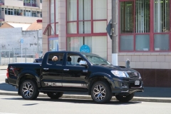 Passender Hund zum Auto
