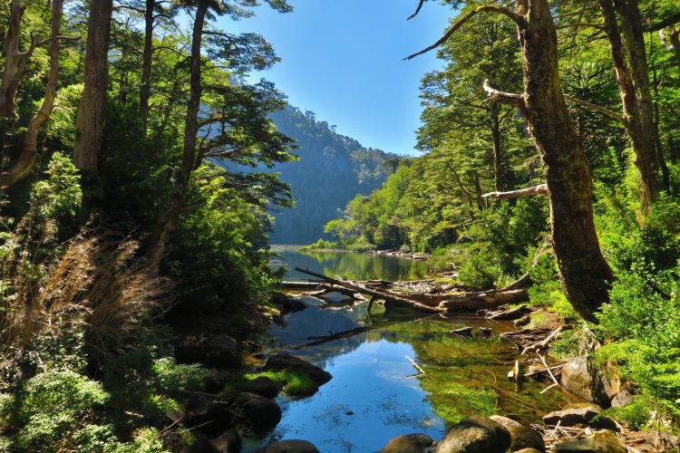 Lago Chico