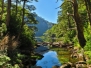 Nationalpark Huerquehue