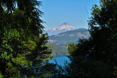 Blick auf den Lago Tinquilco
