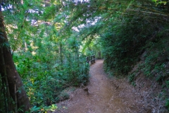 Der Aufstieg