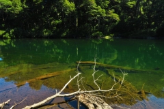 Lago Chico - Glasklar