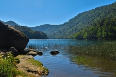 Lago Verde
