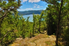 Mount Robert Road - Lake Rotoiti