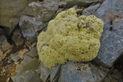 Robert Ridge Route - Moos-2