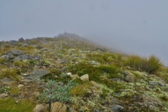 Robert Ridge Route- in den Wolken