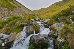 Speargrass Creek Route - Bach