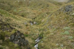 Speargrass Creek Route - Blick Richtung Robert Ridge Route