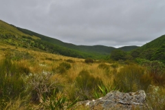 Speargrass Creek Route - Tal-2