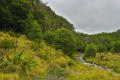 Speargrass Creek Route - Tal-3