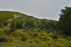 Speargrass Creek Route - Tal-4