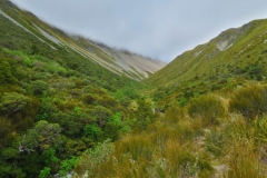 Speargrass Creek Route - Tal