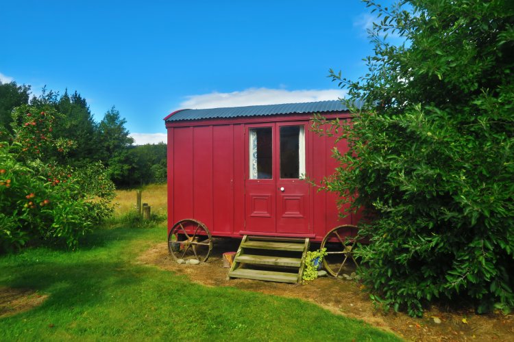 Airbnb Shepherds Hut Glamping - Wagen