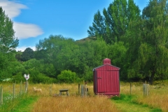 Airbnb-Shepherds-Hut-Glamping-Kuechenhaus