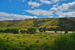 Motueka Valley Highway-3