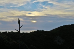 Abendstimmung Riporo Beach