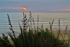 Baylys Beach - Kliffwanderung-2
