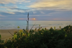 Baylys Beach - Kliffwanderung