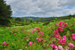 Horeke Road - Ausblick