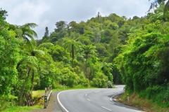 SH1