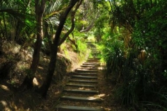 East Cape Lighthouse - 750 Stufen