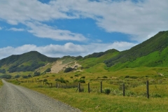 East Cape Lighthouse - Sand vs Wiese