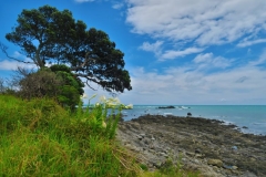 Papatea-Bay-Kueste-2
