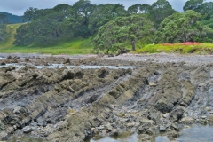 Papatea Bay - Lava Schichten-2