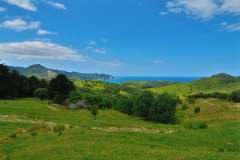 Tokomaru Bay-2