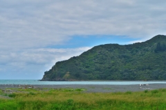 Torere - Bucht mit Strandgut