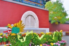 Beihai Park-Blumendrachen