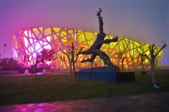 Nationalstadion-the-nest-Laeufer