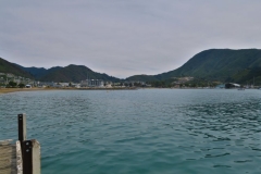Picton - Blick Richtung Hafen vom Endeavour Sound