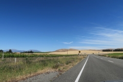 State Highway 1 - Blenheim-2