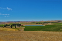 State Highway 1 - Blenheim-5