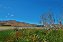 State Highway 1 - Kaikoura - Blenheim - Ebbe