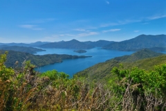 Queen Charlotte Track - Allport Island