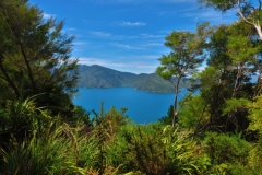 Queen Charlotte Track - Endeavour Inlet-2