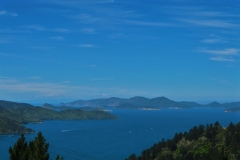 Queen Charlotte Track - Endeavour Inlet