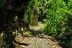 Queen Charlotte Track - Felsen